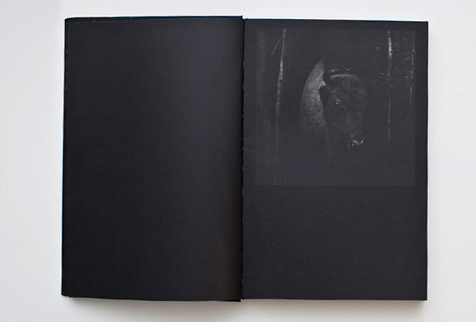 Looking to the Pre-God's eyes // 2011