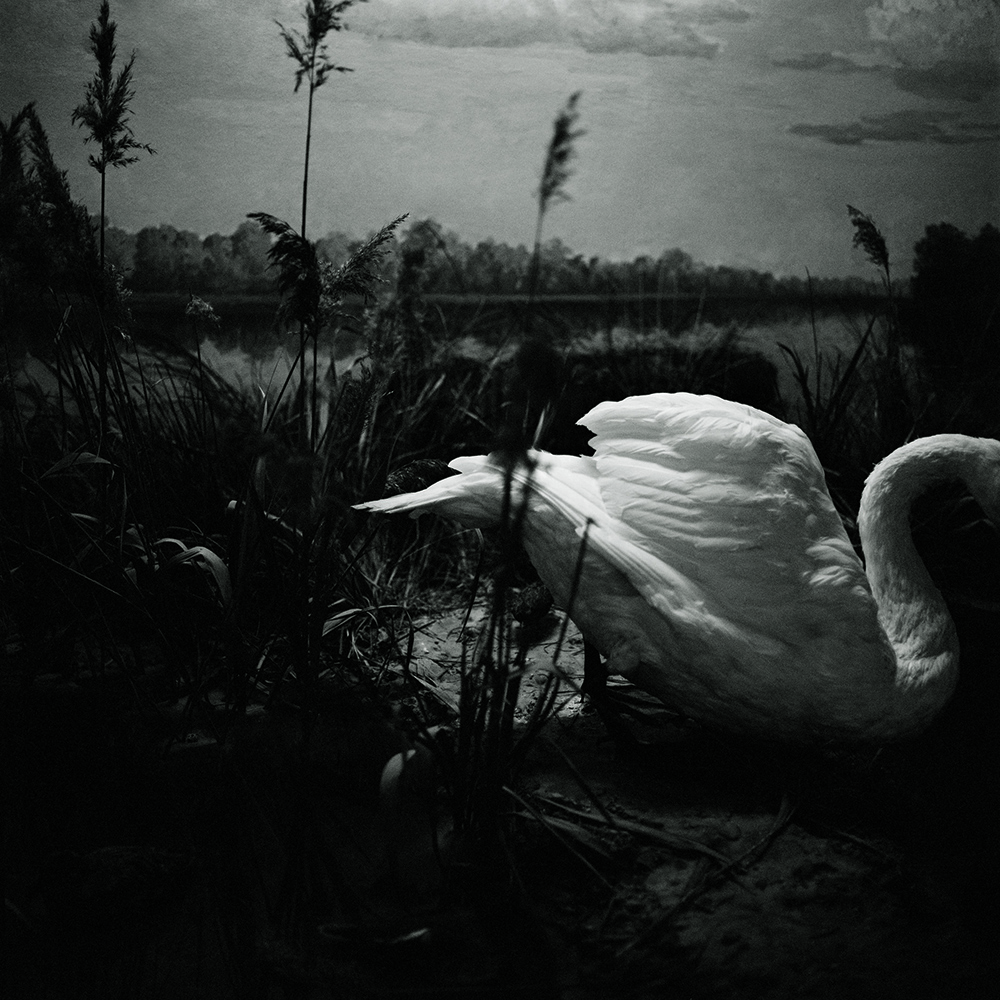 Looking to the Pre-God's eyes // 2011